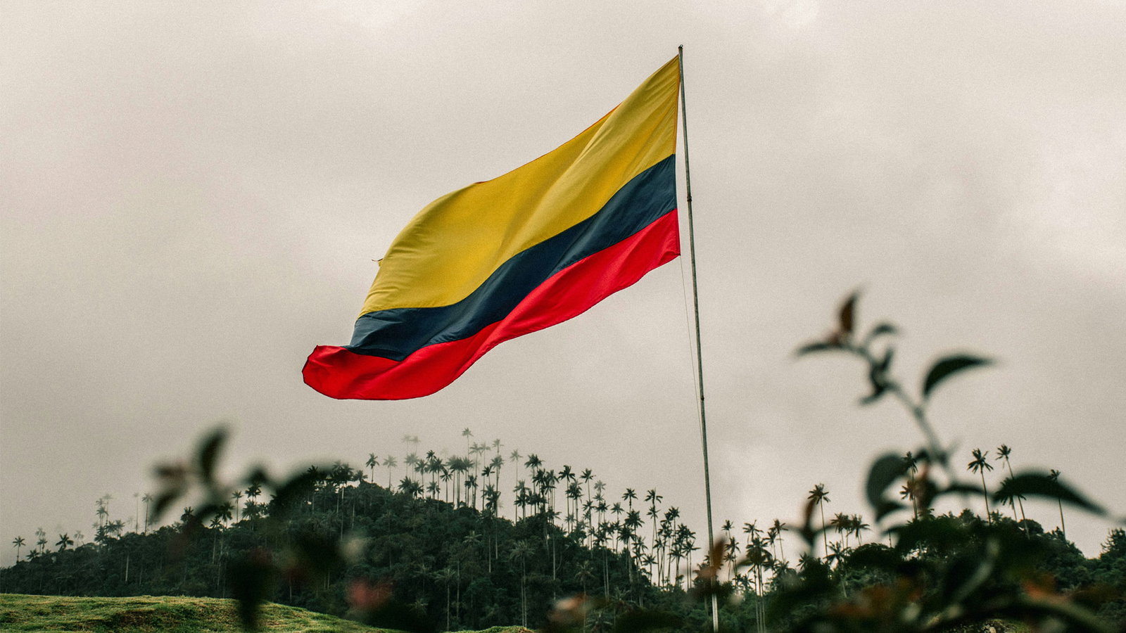 Relief efforts following the Colombia earthquake